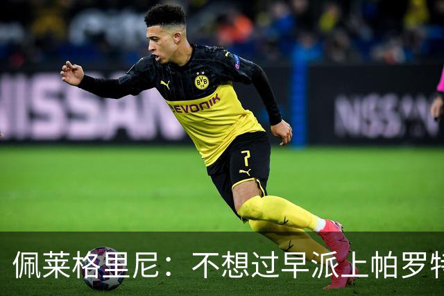 佩莱格里尼：不想过早派上帕罗特；安东尼有机会但运气不佳